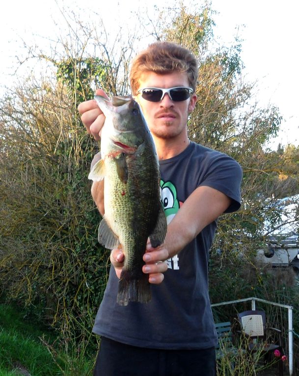 Une séléction de photos de black-bass bourguignons ! Manque hélas quelques gros pépères !