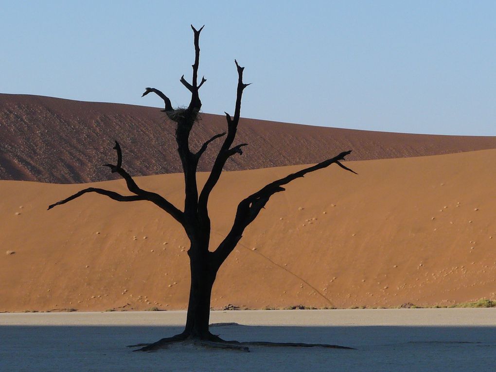 Album - Desert-du-Namib
