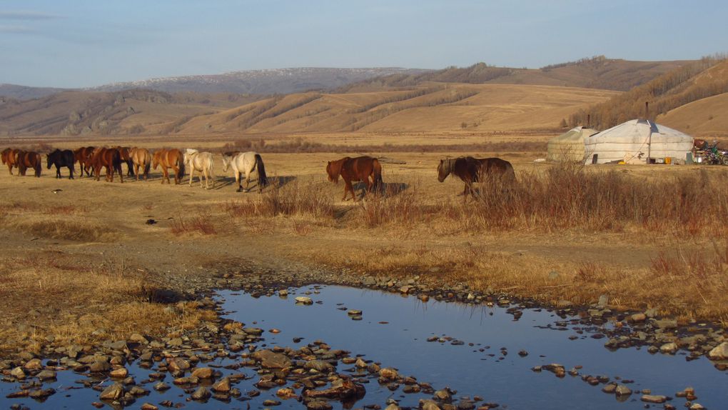 Album - MONGOLIE 1 : parc de Terelj