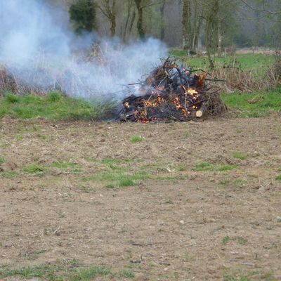 Fin avril : le feu dans le jardin