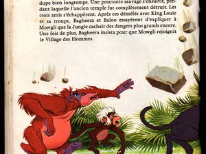 le livre de la jungle raconté par Jacques Duby