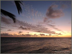 Baie des Citrons