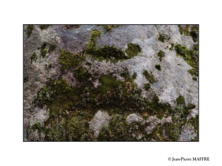 Quelle belle découverte que cette profusion de rochers aux formes insolites qui peuplent l'inoubliable forêt de Fontainebleau.