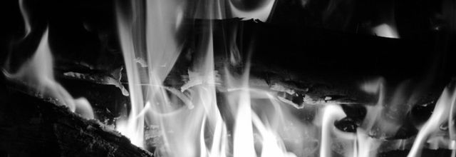 Feu blanc : L'hiver en noir et blanc