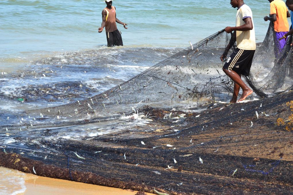 Album - Senegal