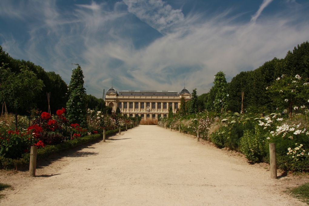 Album - Romane-in-Paris