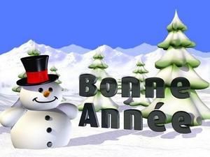 Bonne année!!!