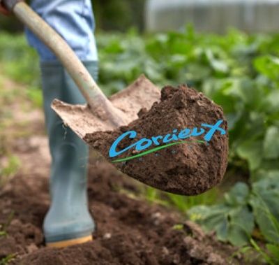 Corcieux : Qui dit printemps dit jardin ... 