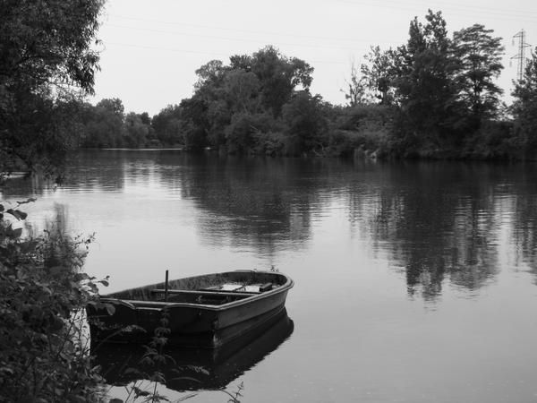 Album - Bord du Cher - Commune de Larcay - Touraine FRANCE