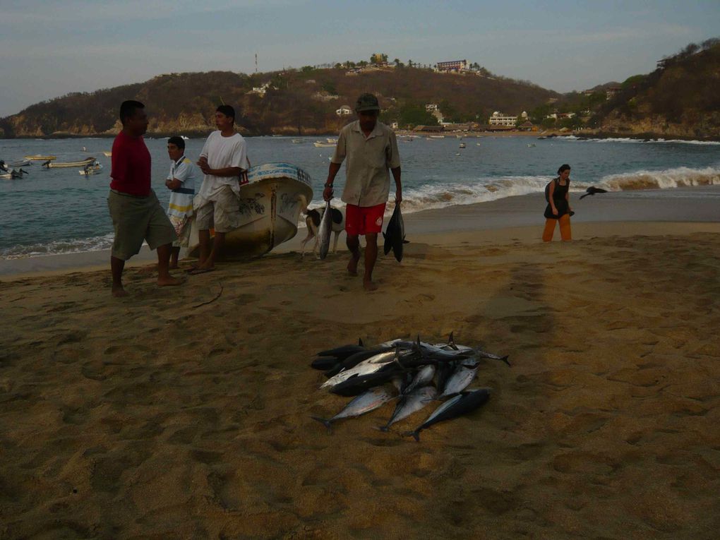 Petit port de 4000 âmes. L'activité est organisée autour de la pêche.