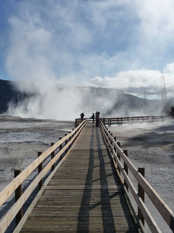 Album - 15.Yellowstone (Wyoming-octobre)