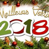 Meilleurs vœux pour 2018