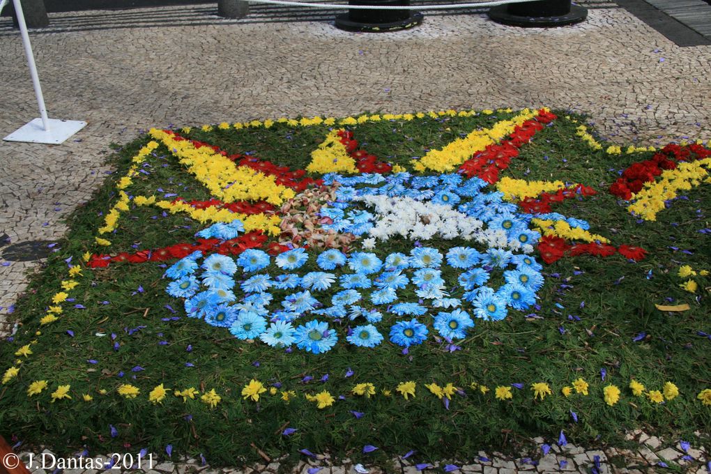 Madere-Funchal,c'est dans cette ville capitale de l'isle que se realise tous les ans la fete de la fleur,cette année c'etait du 5 au 8 Mai et j'y etait,voici quelques images