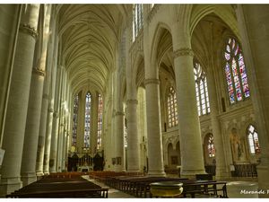 La basilique de Saint Nicolas de port !