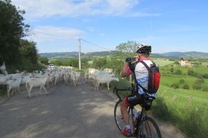 En Ardèche avec le Grincheux et la Mobylette 