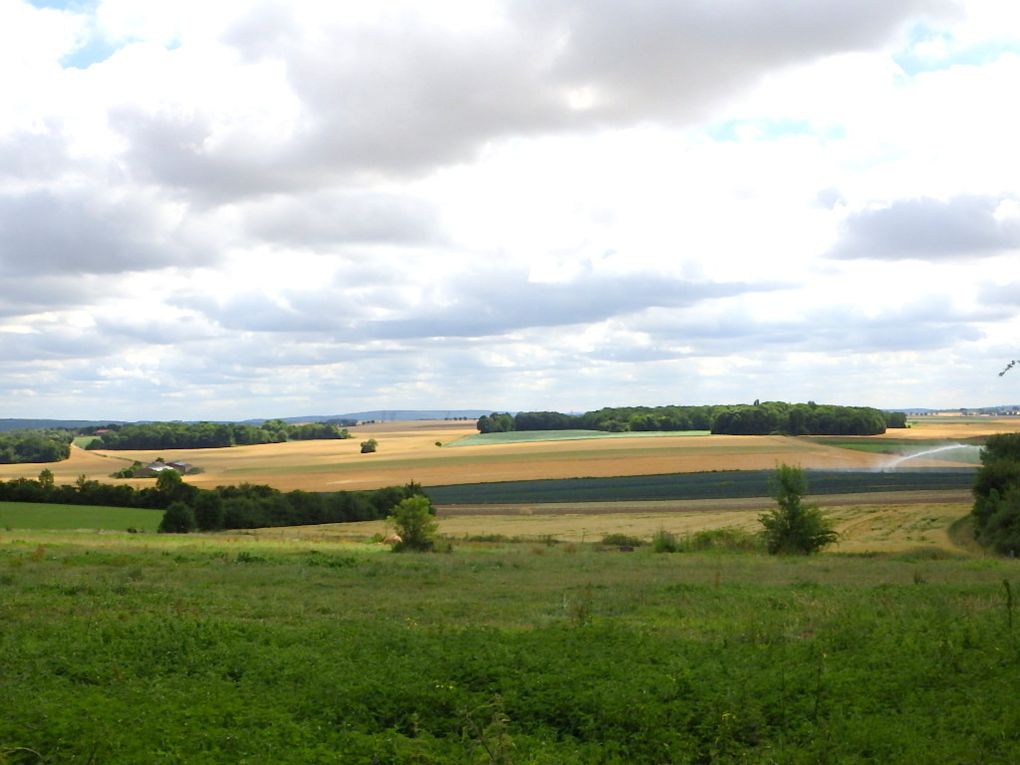 Ce sont des chemins à travers d'immenses cultures de blé, avoine... mais aussi betteraves, choux, petits pois ...