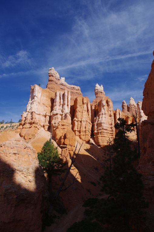 USA Road Trip - Jour 18/25 - Bryce Canyon National Park - Zion National Park