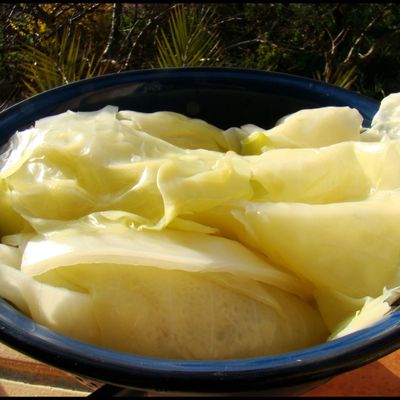 Faire un gratin de Choux Blanc à la sariette