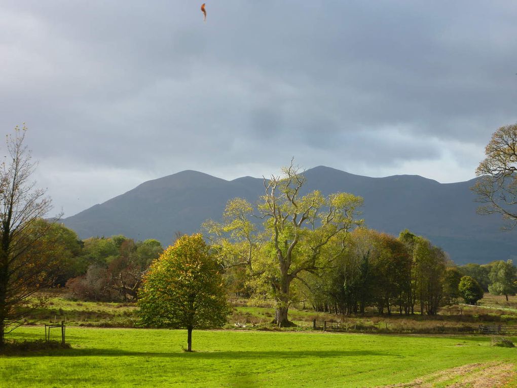 Killarney National Park