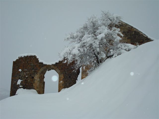 L'hiver, le froid, le givre, la neige, mais... toujours des scènes belles, belles, belles !