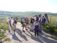 Sortie au crépuscule du 17 /07/2014 Le mailhe-Buau