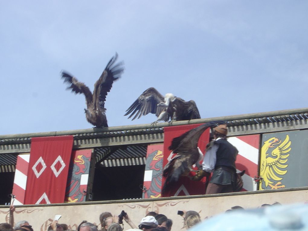 2010 - Sortie au PUY-DU-FOU