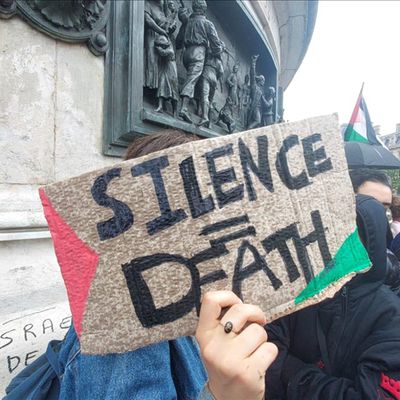 France : rassemblement de milliers de personnes à Paris pour dénoncer le "génocide en cours" à Gaza 