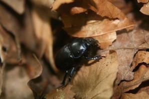 Album - Col du Pigeonnier