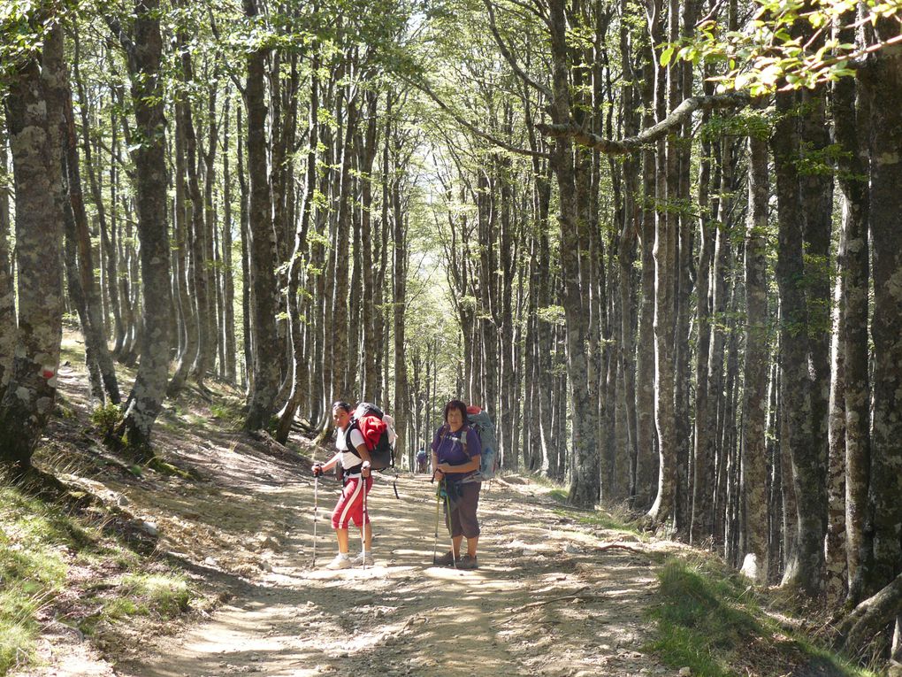 Voici quelques photos de cette semaine de marche entre Saint-Jean-Pied-de-Port et Logroño. Une semaine active (sportive), sous le soleil...