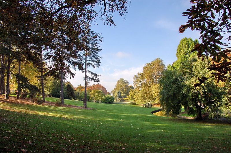 l'automne est si beau ! Au royaume du symbolisme, la saison est rayonnante... Photos TSD