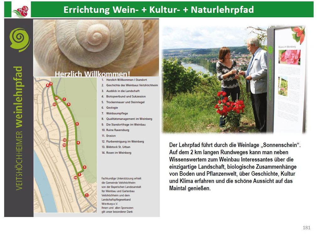 Fotoalbumüber Pflanzaktion "Jahresbäume" und an Bahnbrücke mit Bemalung Brückenpfeiler, Kneippanlage, Weinlehrpfad, Joggingparcours,Bemalung Schaltkästen