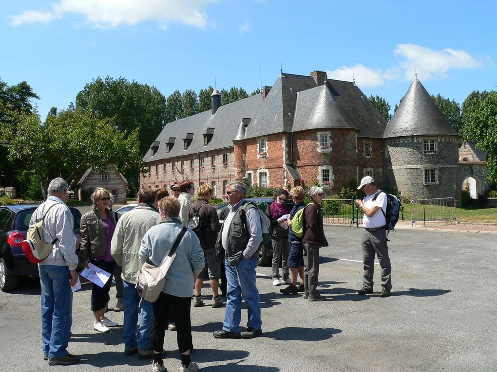 Marche "Le Mont Joli Bois" à partir de Criel sur Mer