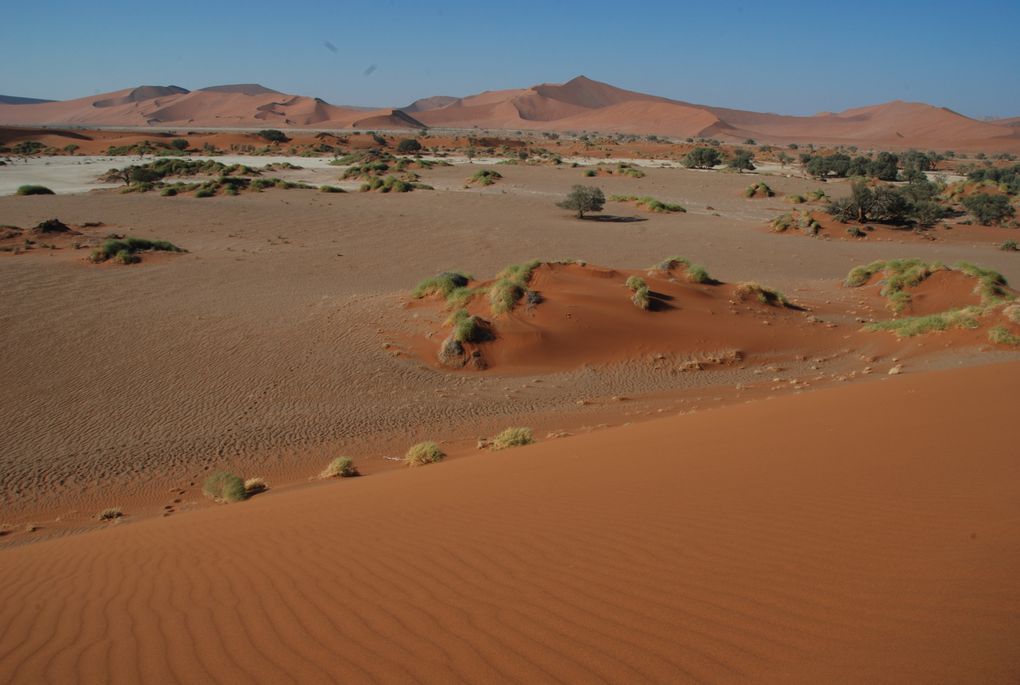 Album - Desert-du-Namib