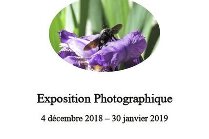 Exposition photographique