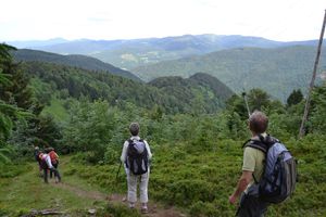 Ici, ailleurs... Escapade dans les Vosges (2)