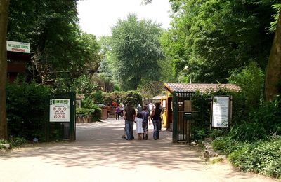 Lille : découvrez son Zoo avec vos amis