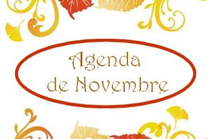 agenda de novembre