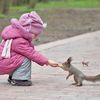 Very Cute and Beautiful Kid feeding little Squirrel