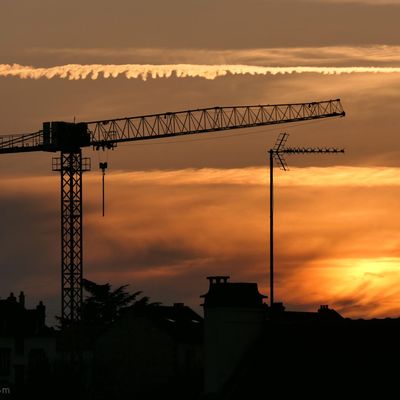 Contre-jour..