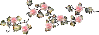 Sal de criquette17 - Roses de l'Amitié brodée