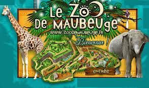 Sortie au zoo