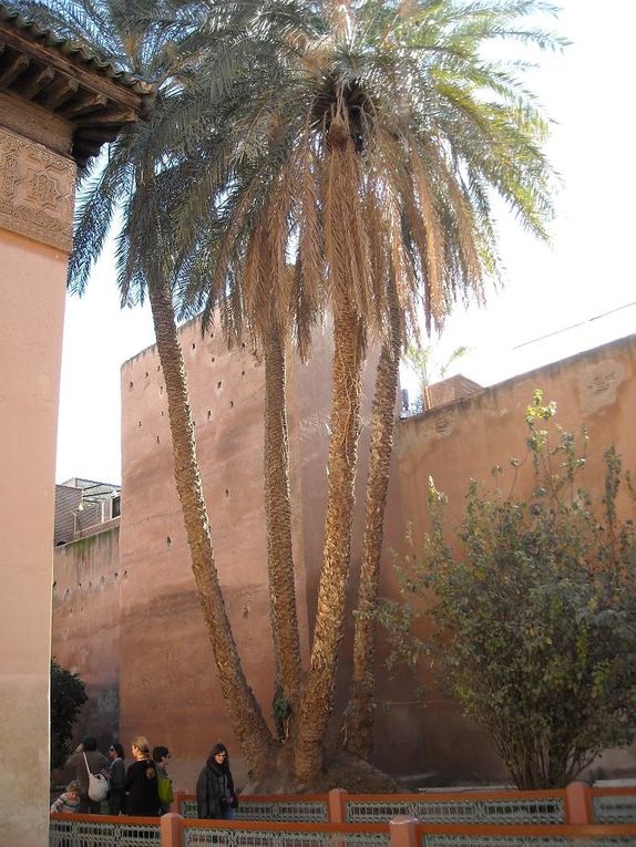 Album - Marrakech