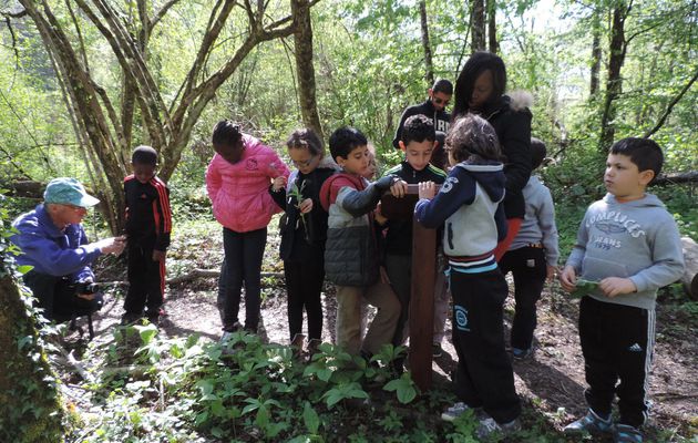 Animations au Sentier du petit castor  