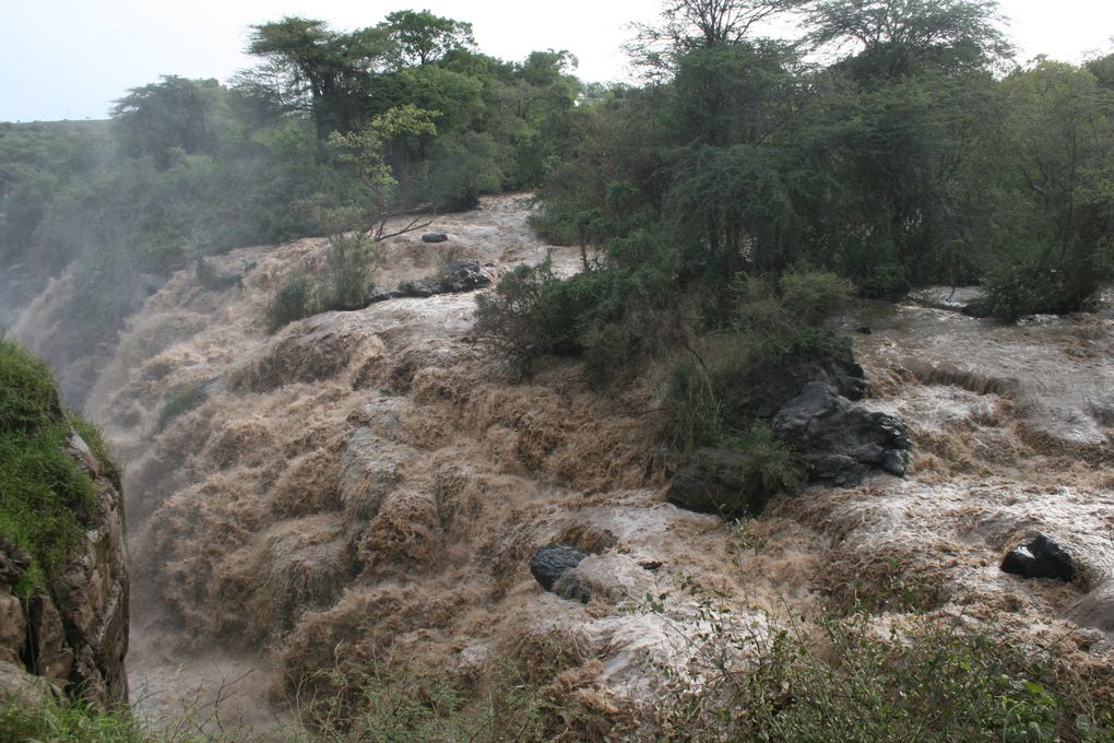 Awash National Park, Rift Valley, East Ethiopia. Fauna and Flora around the park and the Awash river.