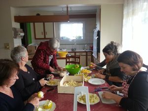 BOISSONS A BASE DE PLANTES