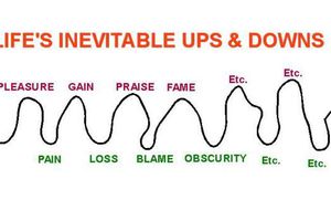 Understanding Life in Vicissitude