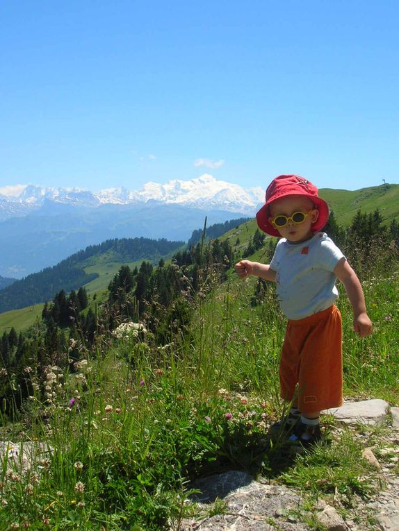 Parce que la montagne ce n'est pas que toute seule ! mais aussi avec deux loulous qui s'en donnent à coeur joie, là haut !