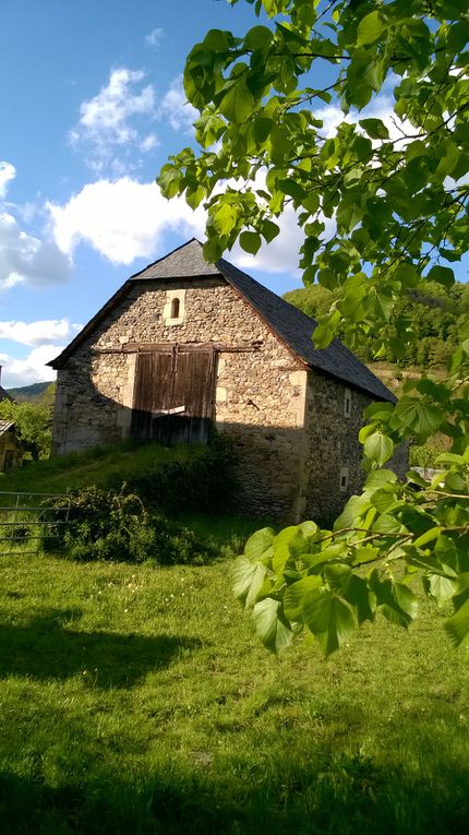Un aperçu de l'Aveyron et des Gorges du Tarn - 12 et 81 - jour 3