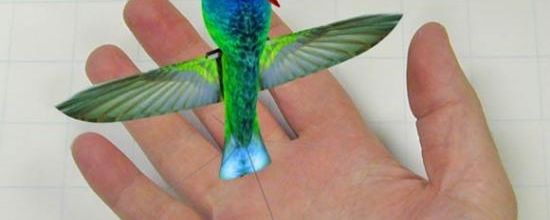 L’ OISEAU MOUCHE ESPION : ABSOLUMENT INCROYABLE !