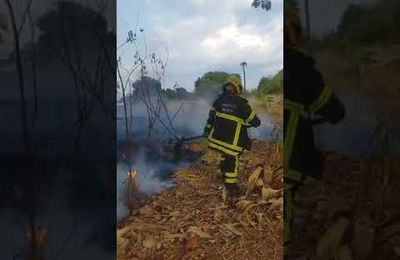 Bomberos de Valencia combate incendio de vegetación en terreno de la parroquia Miguel Peña (+Video)